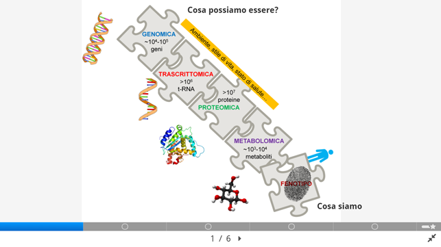 DIA2_Attivit%C3%A0%20interattivaBIOLOGIA_SISTEMI_SCIENZE_OMICHE.png